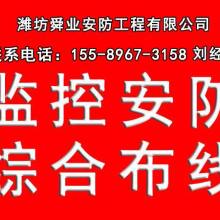 深耕果業沃土，科技引領未來——記榮成市果樹技術推廣站馬道分站的實踐與探索